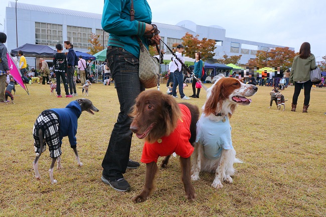 コピー ~ DSC05869