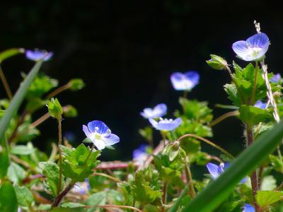 36813242_org.jpg