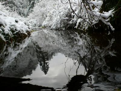 水鏡