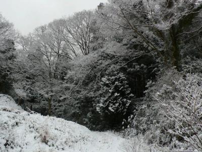 Snow Line