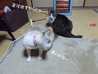 熱源感知02