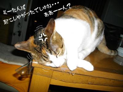 はんせん14