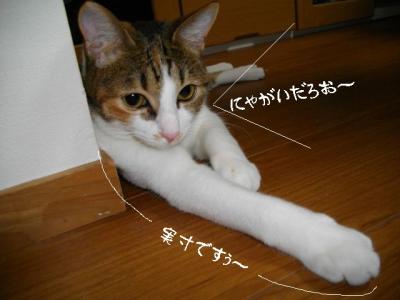 すりすり娘01