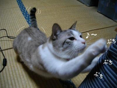 仲良し弐組02