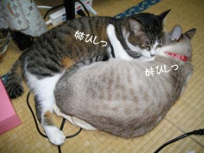 仲良し弐組06