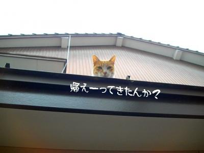 仲良し弐組07
