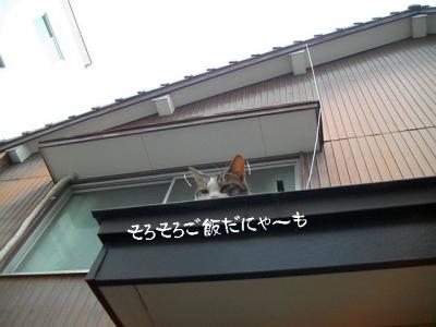 仲良し弐組09