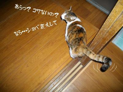 夏季到来02