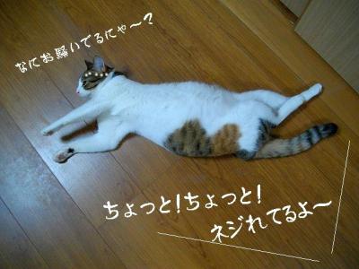 発熱04