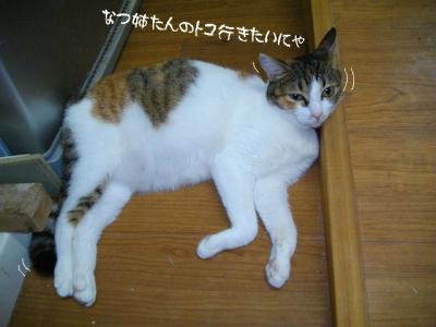 仲良応援03