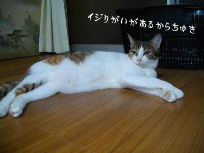 仲良応援05