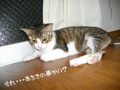 仲良応援06