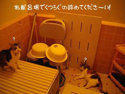 あなたカジリ虫03