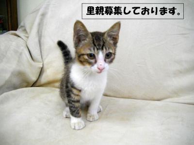 新人ちゃん07