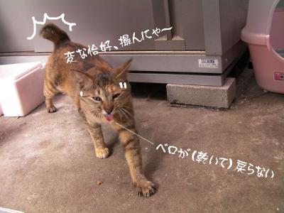外の子ーズ07