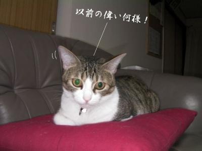 仲良し壱組03