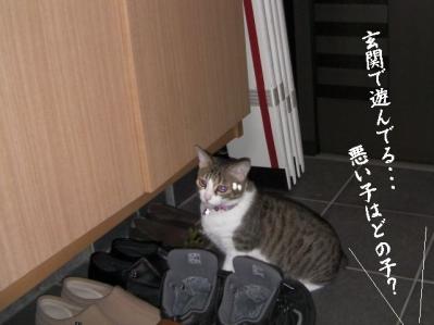 仲良し壱組04