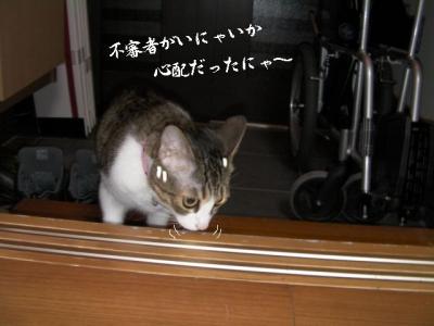 仲良し壱組05