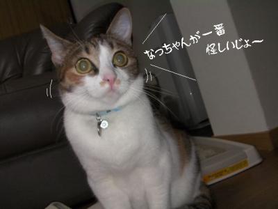 仲良し壱組06