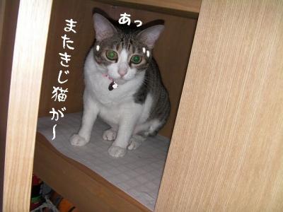 靴箱03