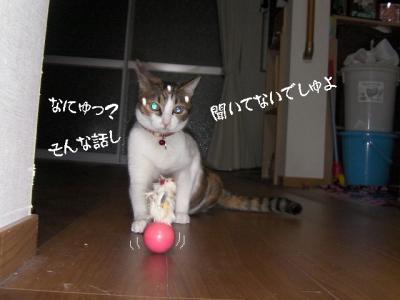 独り遊び05