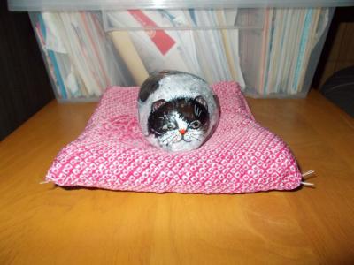 猫達へお願い01