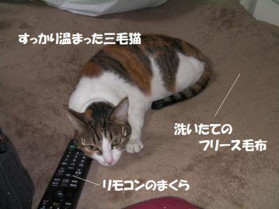 去る年05