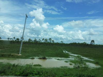20120517_150124.jpg
