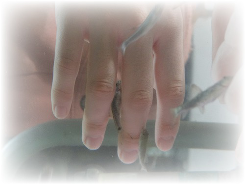 AiL6KoKgyufVqnX_1351425904.png