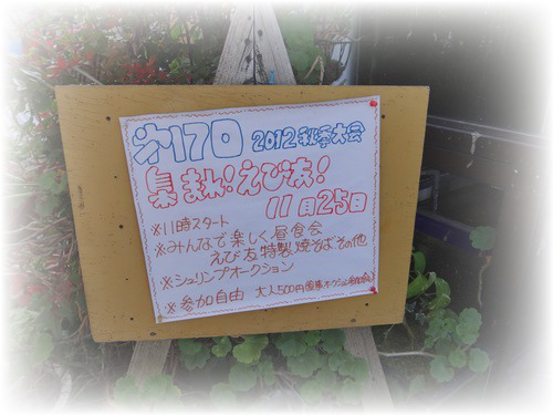 NHJ3TIlC9T9FvLp1353908214_1353908258.png