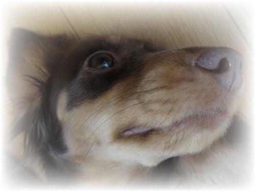 VQa7qBXL9pj7blU1356752258_1356752292.png