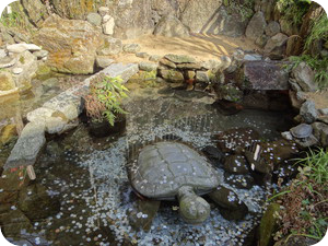 iXgOhQElppcV0N51357562629_1357562664.png