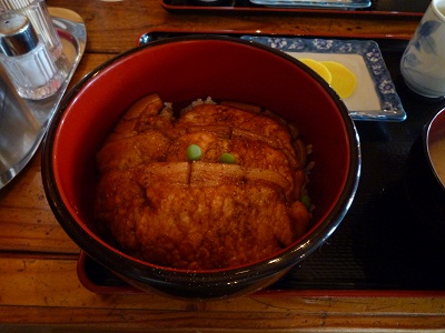 P1040817.jpg