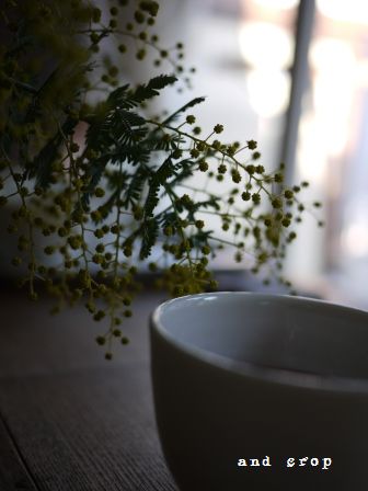 P1090271.jpg