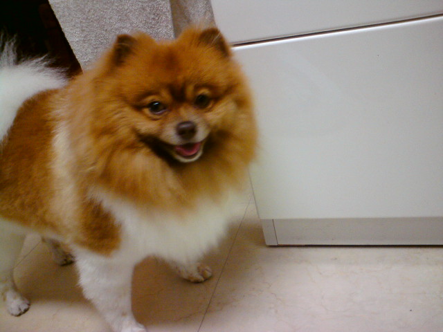 20120601205003.jpg