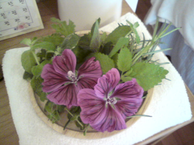 20120603144042.jpg
