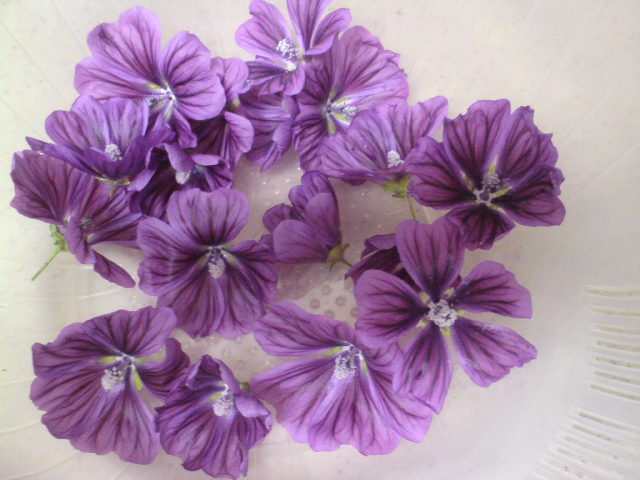 20120608121929.jpg