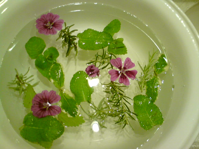 20120610173401.jpg