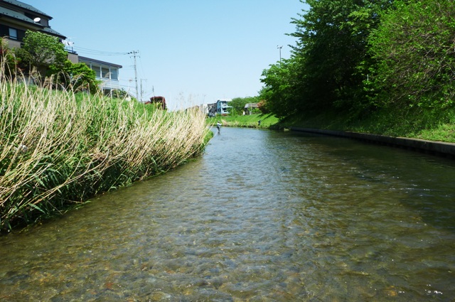 03_farwater_0505.jpg