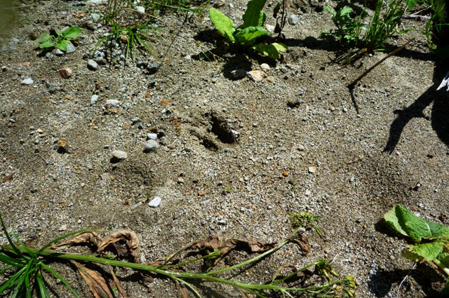 0824_09.jpg