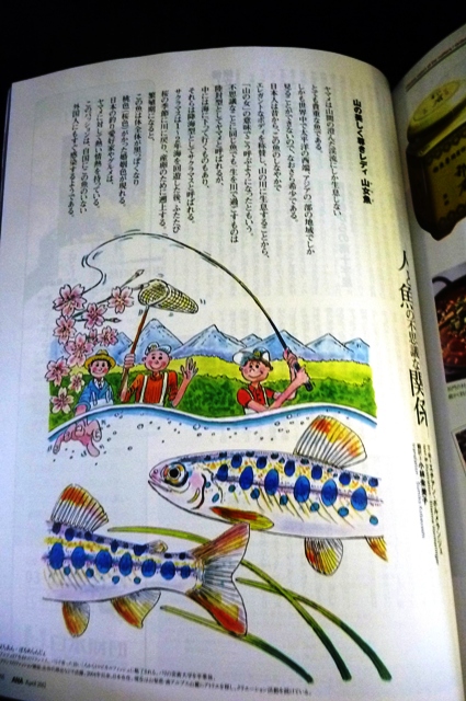 12_Yamame in ANA