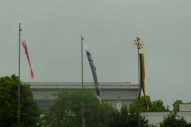 6_Koinobori in rain