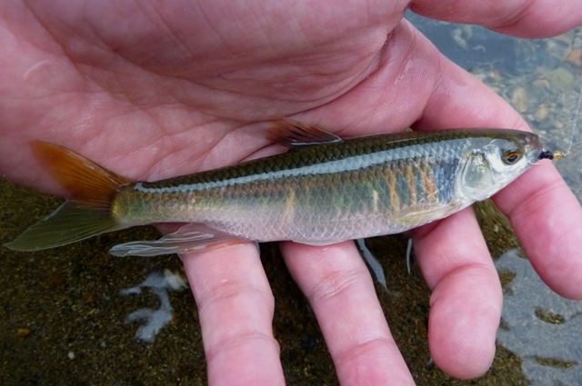 20120707_03.jpg