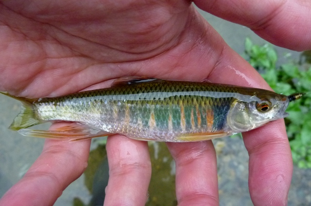 20120707_04.jpg