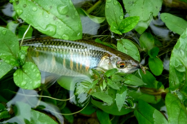 20120707_05.jpg