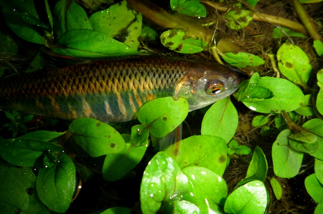 20120707_06.jpg