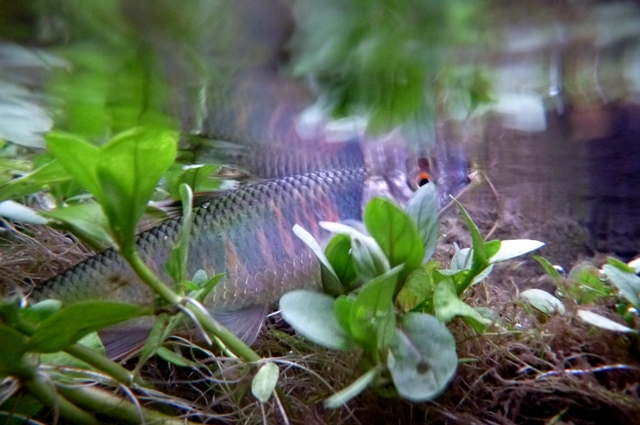 20120707_08.jpg
