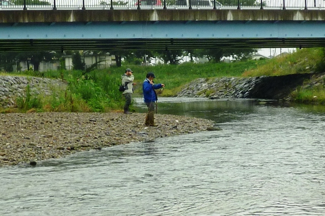 20120707_2.jpg