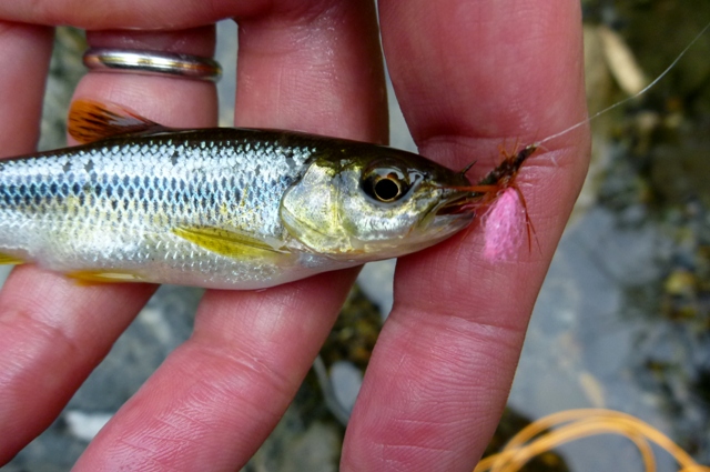 20120714_1.jpg