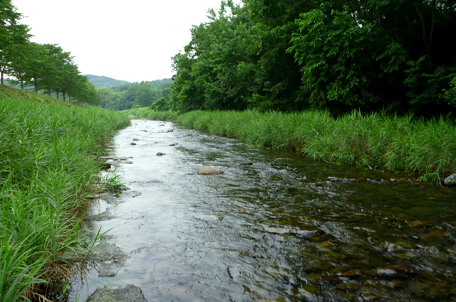 20120714_4.jpg